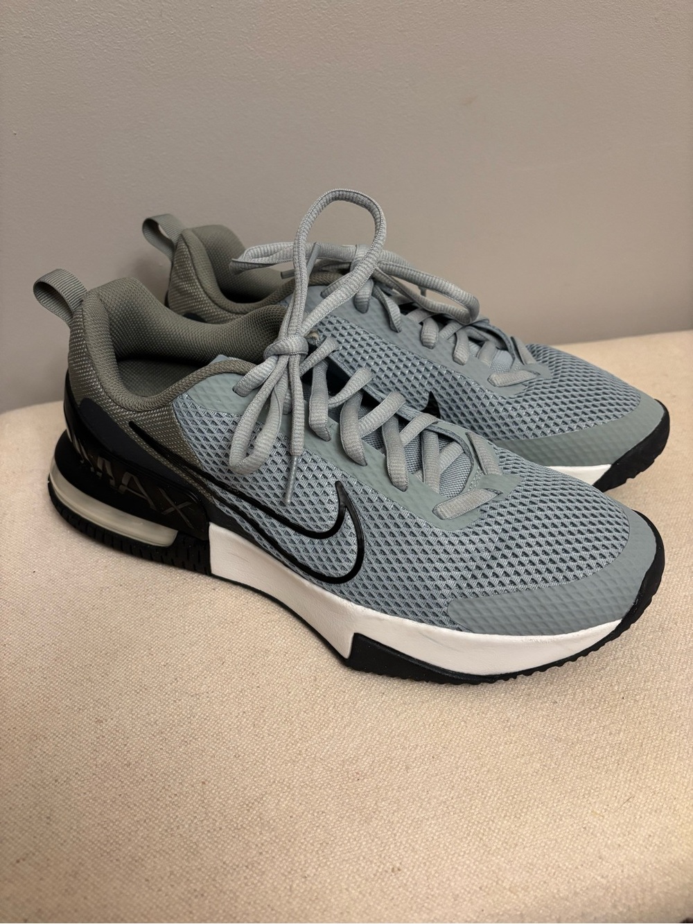 Nike Air Max Alpha Trainer 6 Light Silver Dark Stucco Men’s Sneakers Size 10